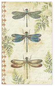 Artist Jean Plout Debuts Dragonflies In The Summer Collection